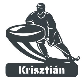 Jégkorong 2 - Ajándéktábla
