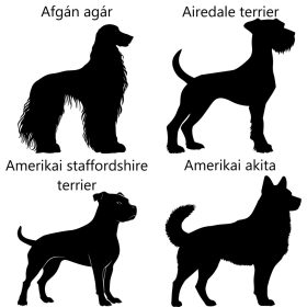 Kutyás 6 Házszámtábla